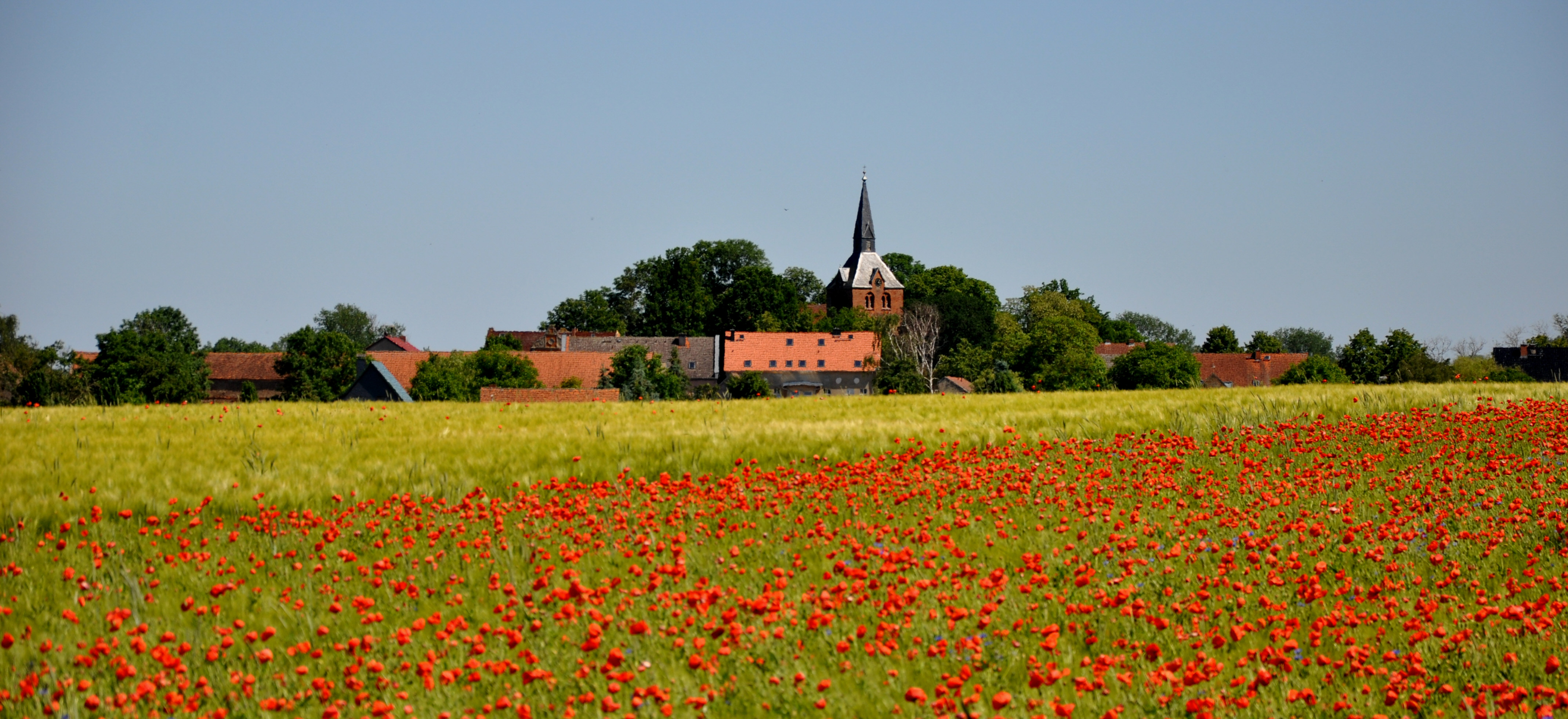 Hakenberg bei Fehrbellin